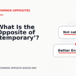 What Is the Opposite of ‘temporary’?
