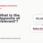 What Is the Opposite of ‘relevant’?